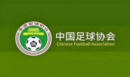 国家最新爆料消息今天,国家最新爆料，重大事件背后真相揭晓