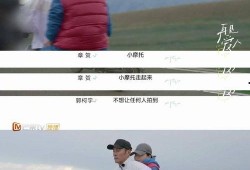 再见爱人2结局爆料视频,情感纠葛终落幕，爱恨情仇引热议