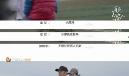 再见爱人2结局爆料视频,情感纠葛终落幕，爱恨情仇引热议