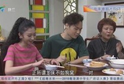 刘莹莹被爆料的视频大全,揭秘背后真相与争议