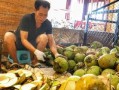 三亚网红吃瓜视频,揭秘网红美食背后的故事