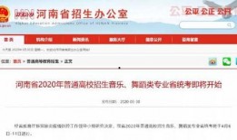 河南高招最新爆料信息,揭秘录取内幕与政策调整