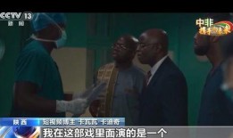 大王爆料青岛事件视频全集,大王爆料视频全集深度解析