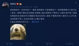 全国黑料爆料视频大全,视频大全背后的真相与争议
