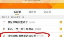 卓伟爆料郭晶晶视频播放,卓伟独家爆料引发热议