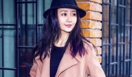 刘恺威王鸥爆料视频大全,娱乐圈背后的真相与争议