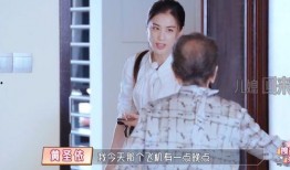 好女婿孝媳妇在线观看,温情演绎传统美德，在线观看感动人心