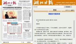湖北日报提供新闻爆料,揭秘重大新闻事件背后真相