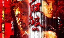 杀破狼电影在线观看,惊心动魄的生死较量，在线观看不容错过！