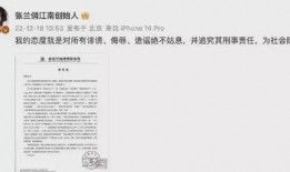爆料芳姐说真话视频,芳姐说真话视频深度解析