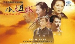 小麦电视剧全集在线观看,温情岁月，感人至深的家庭故事