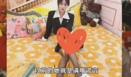 雅江网红爆料视频大全集,揭秘网红背后的故事与真相