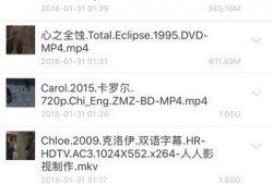 卡罗尔未删减在线观看,深度揭秘电影背后的真实故事