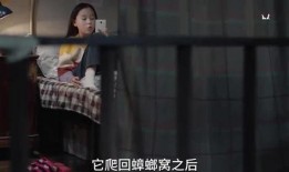 金姐爆料谁有孩子了啊视频,揭秘明星育儿秘密，谁喜得贵子/女？