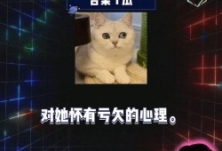吃瓜娱乐圈内娱课代表,吃瓜课代表带你领略内娱风云