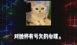 吃瓜娱乐圈内娱课代表,吃瓜课代表带你领略内娱风云