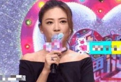 应采儿爆料娱乐圈,幕后真相与明星生活大曝光