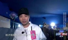 诱饵在线观看,揭秘网络陷阱的惊悚之旅