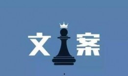 爆料采访视频文案简短,爆料采访视频幕后真相