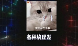 吃瓜娱乐圈内娱课代表,吃瓜课代表带你领略内娱风云