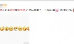 微信免费吃瓜在哪里找,轻松获取独家瓜果资讯