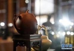 紫砂爆料新闻视频大全下载,新闻视频大全精彩瞬间回顾