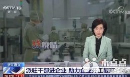 嘉兴狗仔队新闻爆料视频,揭秘事件背后真相