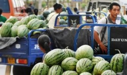 云南男网红吃瓜事件,真相揭秘引网友热议