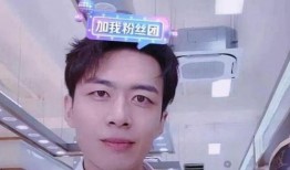 刘彰前期爆料了吗视频,背后真相与争议