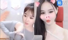 电母视频被爆料,揭秘娱乐圈惊人内幕