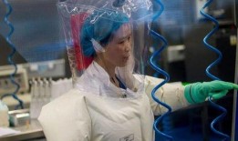 外国新冠病毒最新爆料