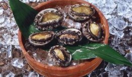 鲍鱼最新爆料图片大全