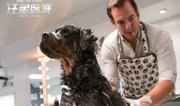 狗子黑料爆料图片高清视频