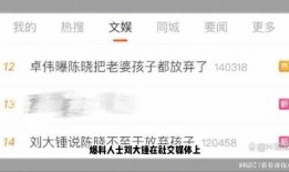 刘大锤爆料预告视频,神秘事件即将揭晓，悬念重重引关注
