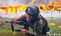 士兵高清在线观看,战火青春，热血铸就英雄梦