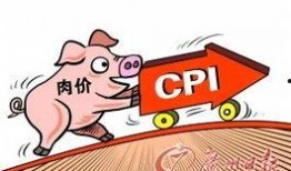 猪价最新爆料,最新爆料揭示市场动态