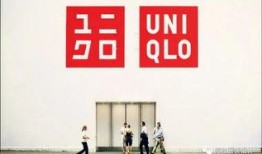 美国高管爆料视频大全下载,视频大全下载背后的真相与内幕