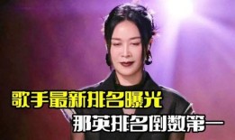 歌手最新爆料,独家爆料背后的故事与感悟