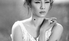 女明星独家爆料模板视频,揭秘娱乐圈背后的惊人真相！