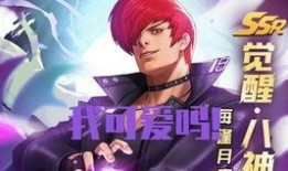 拳王命运爆料视频大全,揭秘爆料视频大全背后的精彩瞬间