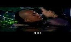 四爷爆料出轨是哪一集视频,揭秘视频曝光那一集