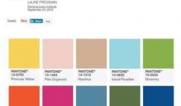 颜色2017在线观看,色彩斑斓的视觉盛宴