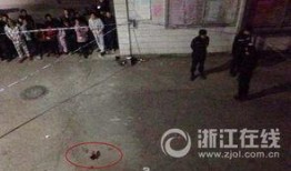 浙江温州爆料案件最新