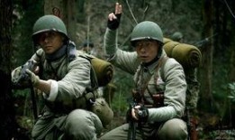 士兵高清在线观看,战火青春，热血铸就英雄梦