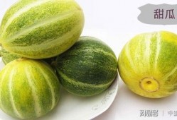甜瓜美食爆料视频大全最新,揭秘最新爆料视频大全